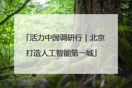 活力中国调研行｜北京打造人工智能第一城