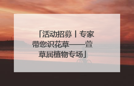 活动招募丨专家带您识花草——萱草属植物专场
