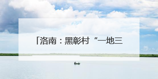 洛南：黑彰村“一地三金”铺就群众致富路