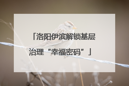 洛阳伊滨解锁基层治理“幸福密码”