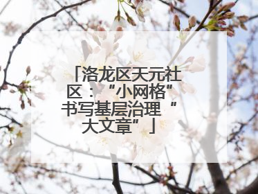 洛龙区天元社区：“小网格”书写基层治理“大文章”