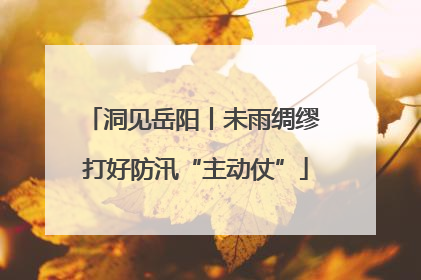 洞见岳阳丨未雨绸缪 打好防汛“主动仗”