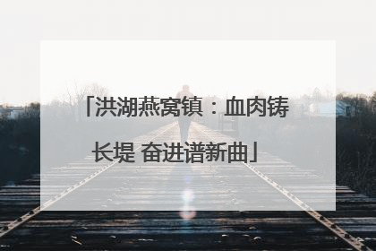洪湖燕窝镇：血肉铸长堤 奋进谱新曲