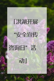 洪湖开展“安全宣传咨询日”活动