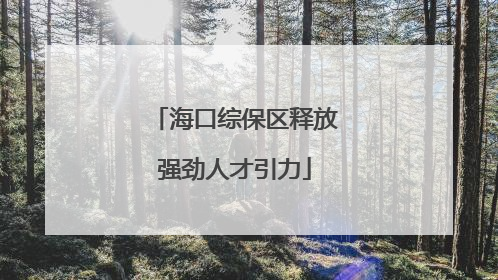 海口综保区释放强劲人才引力