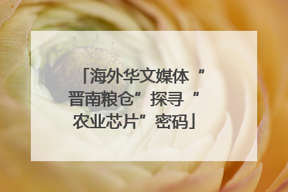 海外华文媒体“晋南粮仓”探寻“农业芯片”密码
