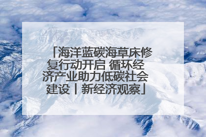 海洋蓝碳海草床修复行动开启 循环经济产业助力低碳社会建设丨新经济观察