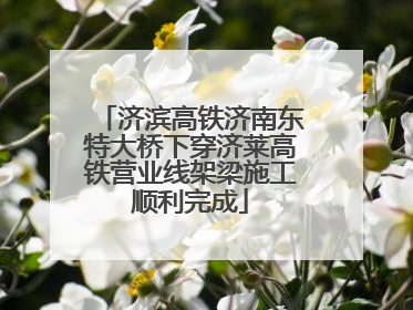 济滨高铁济南东特大桥下穿济莱高铁营业线架梁施工顺利完成