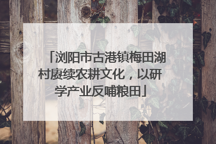 浏阳市古港镇梅田湖村赓续农耕文化，以研学产业反哺粮田