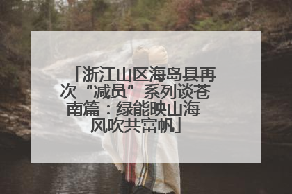浙江山区海岛县再次“减员”系列谈苍南篇：绿能映山海 风吹共富帆