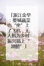 浙江金华：婺城蔬菜也“坐”上了飞机，无人机为乡村振兴插上“翅膀”