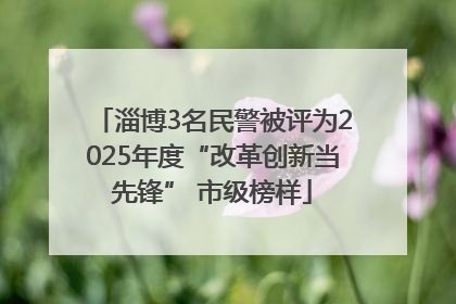 淄博3名民警被评为2025年度“改革创新当先锋” 市级榜样
