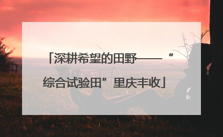 深耕希望的田野——“综合试验田”里庆丰收