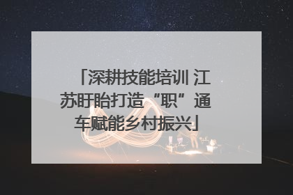 深耕技能培训 江苏盱眙打造“职”通车赋能乡村振兴