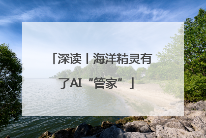 深读丨海洋精灵有了AI“管家”