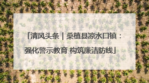 清风头条｜桑植县凉水口镇：强化警示教育 构筑廉洁防线