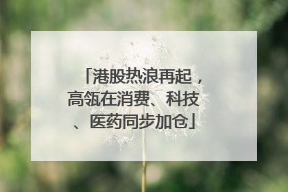 港股热浪再起，高瓴在消费、科技、医药同步加仓
