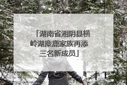 湖南省湘阴县横岭湖麋鹿家族再添三名新成员
