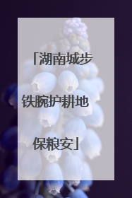 湖南城步铁腕护耕地保粮安