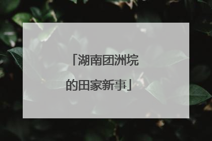 湖南团洲垸的田家新事