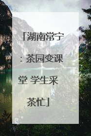 湖南常宁：茶园变课堂 学生采茶忙
