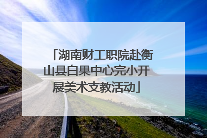 湖南财工职院赴衡山县白果中心完小开展美术支教活动