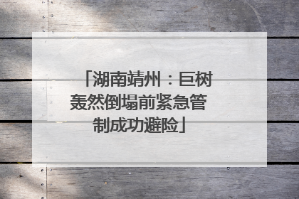 湖南靖州：巨树轰然倒塌前紧急管制成功避险