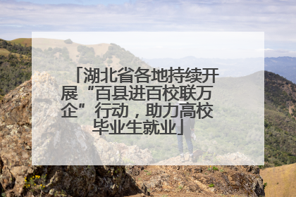 湖北省各地持续开展“百县进百校联万企”行动，助力高校毕业生就业