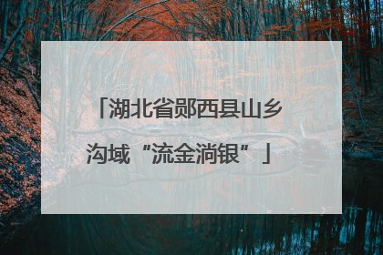 湖北省郧西县山乡沟域“流金淌银”