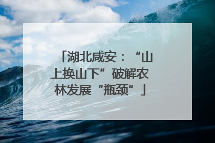 湖北咸安：“山上换山下”破解农林发展“瓶颈”