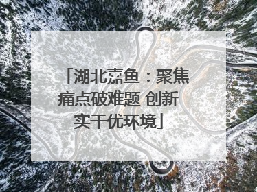 湖北嘉鱼：聚焦痛点破难题 创新实干优环境
