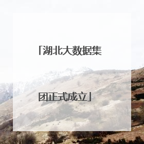 湖北大数据集团正式成立