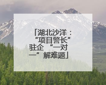 湖北沙洋：“项目警长”驻企 “一对一”解难题