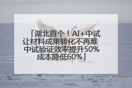 湖北首个！AI+中试让材料成果转化不再难 中试验证效率提升50%成本降低60%