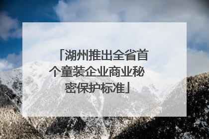 湖州推出全省首个童装企业商业秘密保护标准