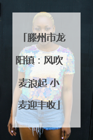滕州市龙阳镇：风吹麦浪起 小麦迎丰收