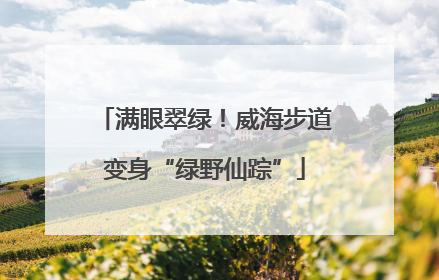 满眼翠绿！威海步道变身“绿野仙踪”