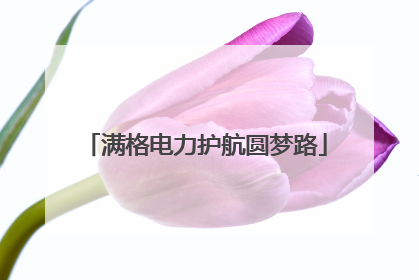 满格电力护航圆梦路