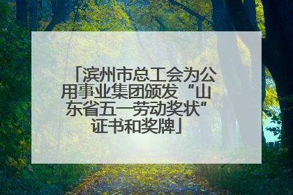 滨州市总工会为公用事业集团颁发“山东省五一劳动奖状”证书和奖牌