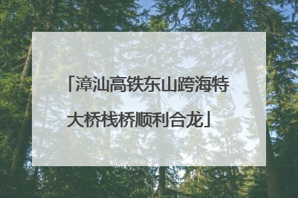 漳汕高铁东山跨海特大桥栈桥顺利合龙