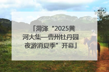 菏泽“2025黄河大集—曹州牡丹园夜游消夏季”开幕
