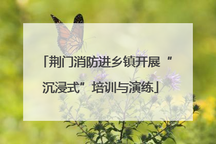 荆门消防进乡镇开展“沉浸式”培训与演练