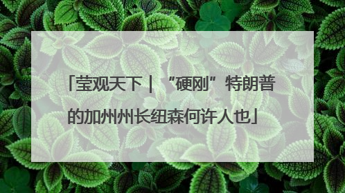 莹观天下｜“硬刚”特朗普的加州州长纽森何许人也