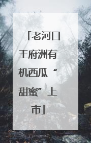 老河口王府洲有机西瓜“甜蜜”上市
