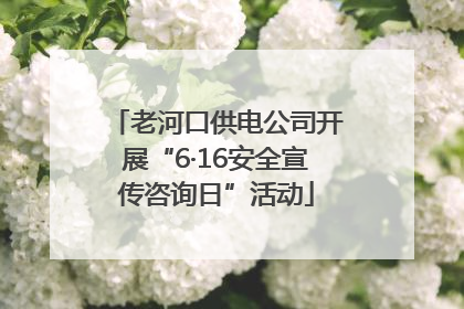 老河口供电公司开展“6·16安全宣传咨询日”活动