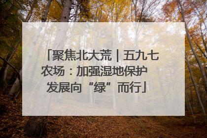 聚焦北大荒｜五九七农场：加强湿地保护 发展向“绿”而行