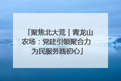 聚焦北大荒｜青龙山农场：党建引领聚合力 为民服务践初心
