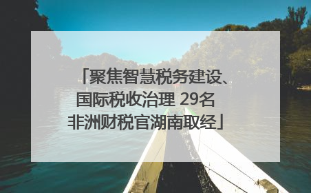 聚焦智慧税务建设、国际税收治理 29名非洲财税官湖南取经