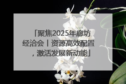 聚焦2025年廊坊经洽会丨资源高效配置，激活发展新动能