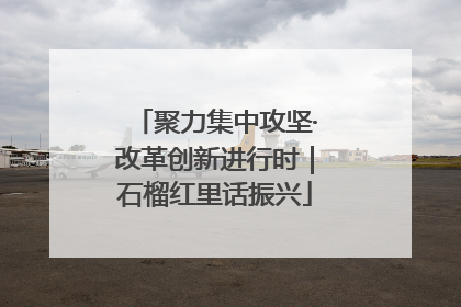 聚力集中攻坚·改革创新进行时｜石榴红里话振兴